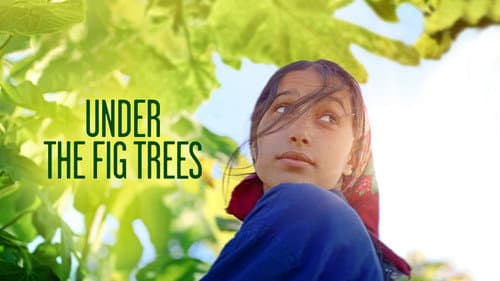 Under the Fig Trees still