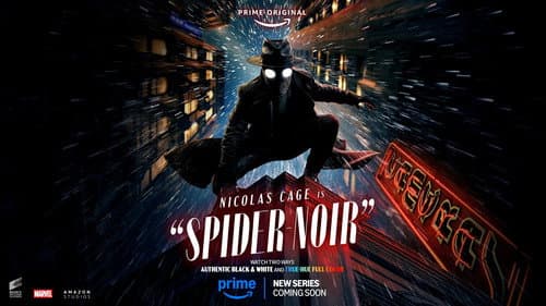 Spider-Noir still