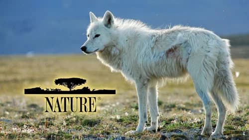 Nature still