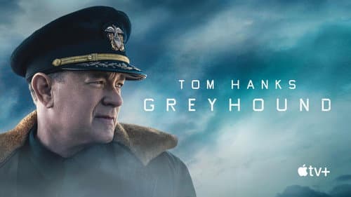 Greyhound still