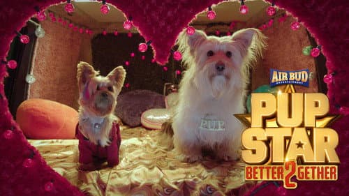 Pup Star: Better 2Gether still