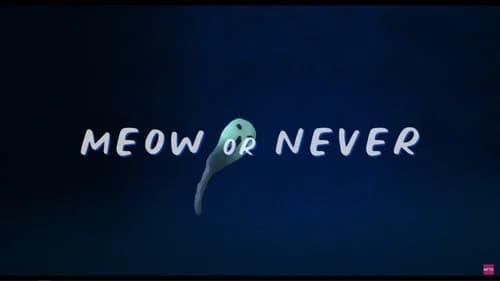 Meow or Never still