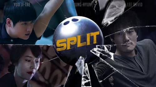 Split still