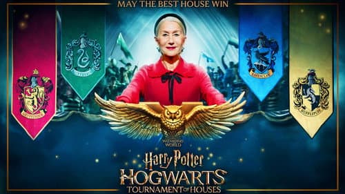 Harry Potter: Hogwarts Tournament of Houses still