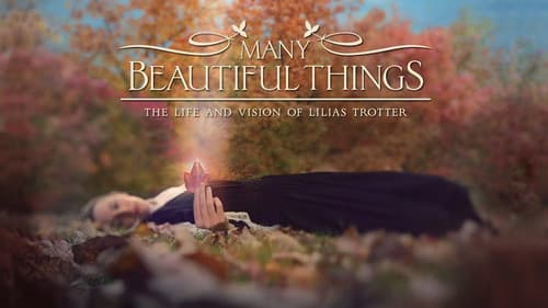 Many Beautiful Things still