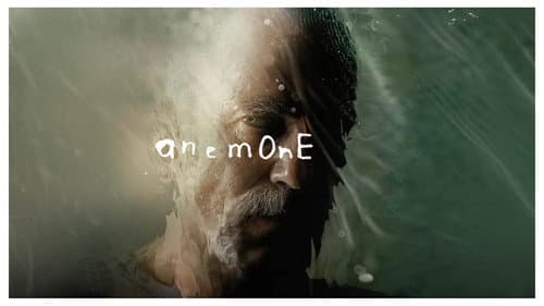 Anemone still