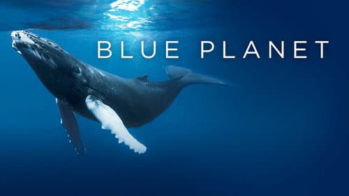 The Blue Planet still