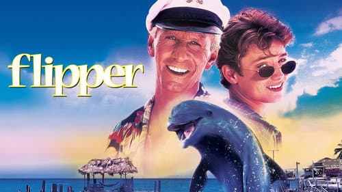 Flipper still