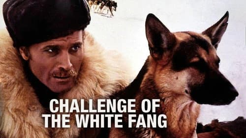 Challenge to White Fang still