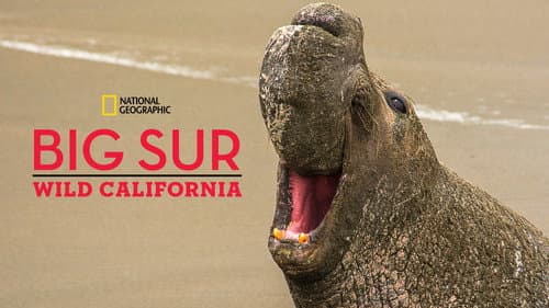 Big Sur: Wild California still