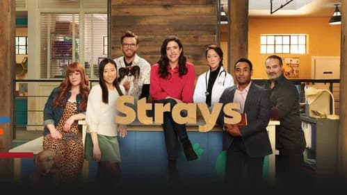 Strays still