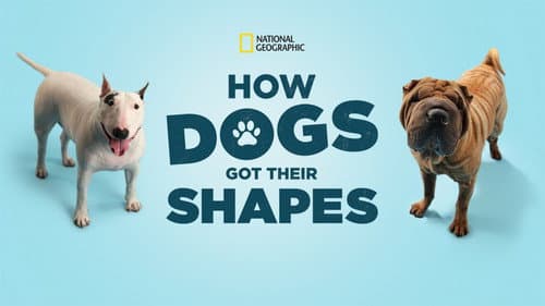 How Dogs Got Their Shapes still