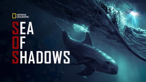 Sea of Shadows still
