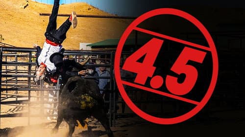 Jackass 4.5 still
