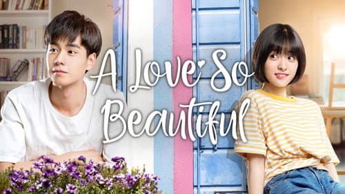 A Love So Beautiful still
