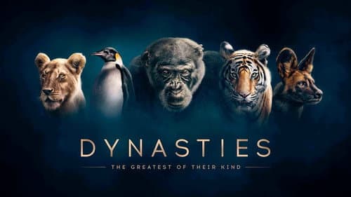 Dynasties still