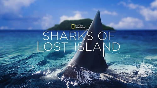 Sharks of Lost Island still