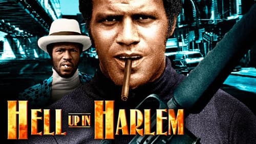 Hell Up In Harlem still