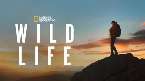 Wild Life still