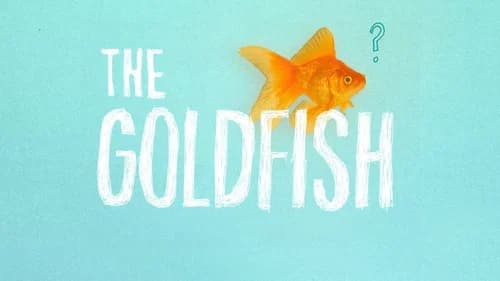 The Goldfish still