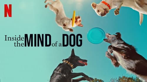 Inside the Mind of a Dog still