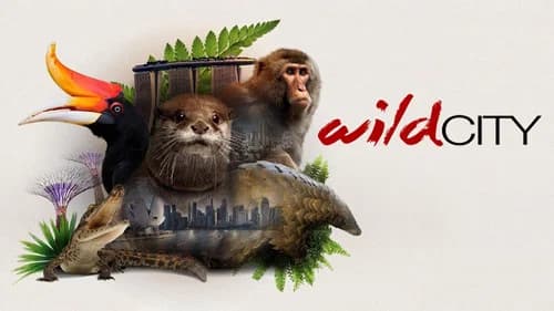 Wild City still