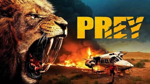 Prey still