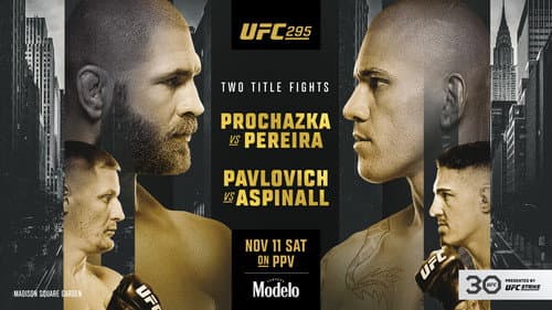 UFC 295: Prochazka vs. Pereira still