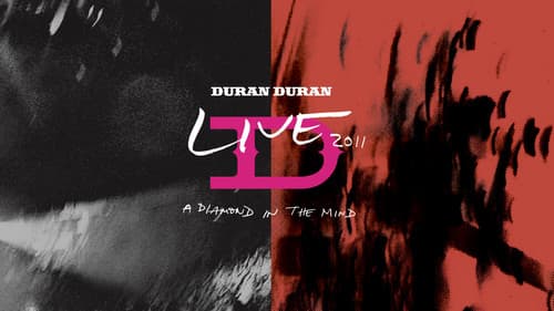 Duran Duran: A Diamond In the Mind 2011 still