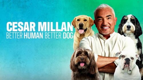 Cesar Millan: Better Human, Better Dog still