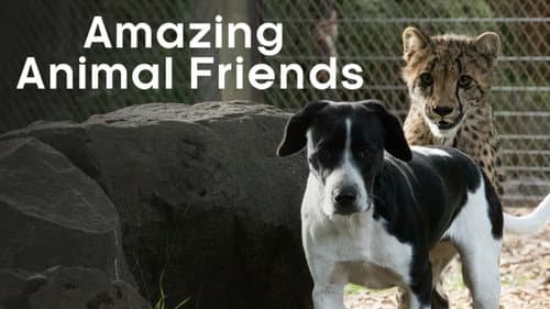 Amazing Animal Friends still