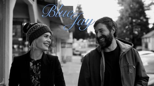 Blue Jay still