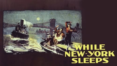 While New York Sleeps still