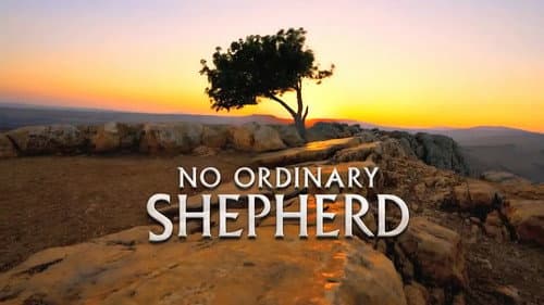 No Ordinary Shepherd still