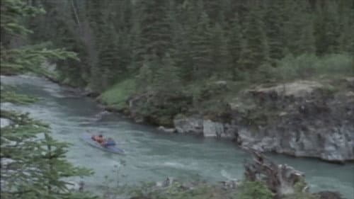 Cry from the Mountain still