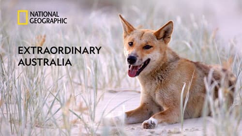 Extraordinary Australia still