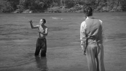 Description d'un Combat still