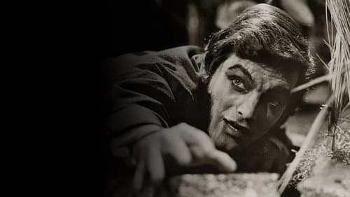 Dark Shadows: The Haunting of Collinwood still