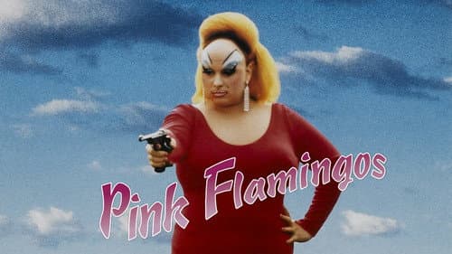 Pink Flamingos still
