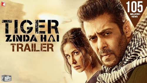 Tiger Zinda Hai still