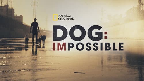 Dog: Impossible still