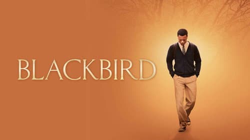 Blackbird still