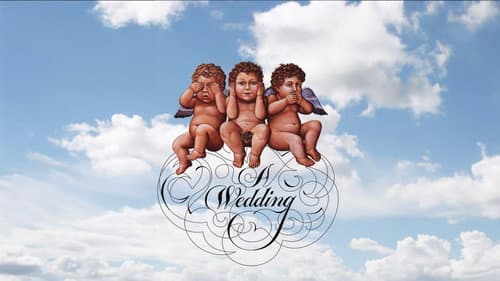 A Wedding still