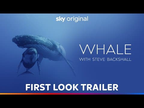 First Look