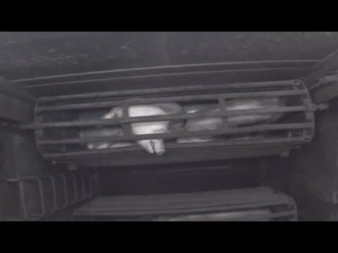 Dominion (2018): Pig Gas Chamber