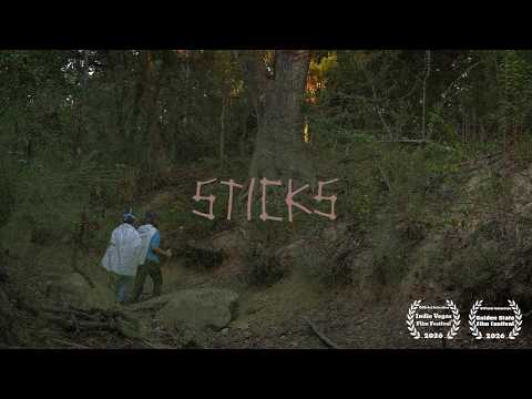 sticks