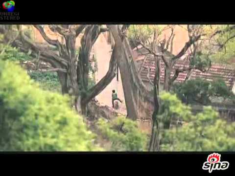 Love For Life 最愛   -  bande-annonce  trailer  預告片