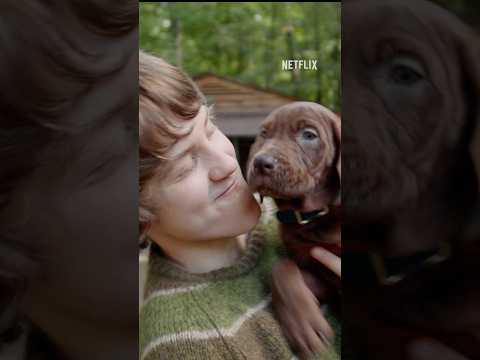 Scooby-Doo Reveal