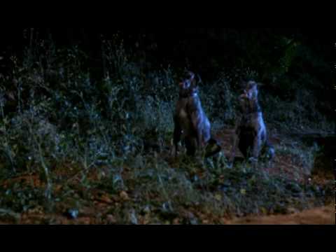 ZOLTAN: HOUND OF DRACULA (1978; trailer) Reggie Nalder