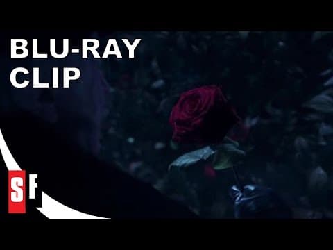 The Rose [Subtitled]